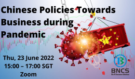 Chinese Policies Towards Business during Pandemic