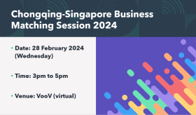 Chongqing-Singapore Business Matching Session